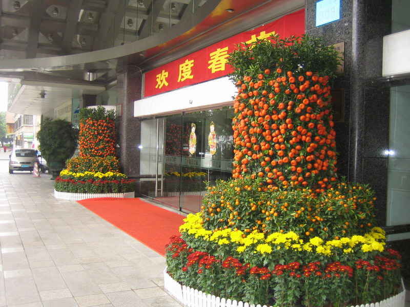 大门装饰植物租赁