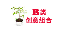 重庆创意组合植物租赁