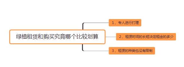 植物租赁与购买对比.jpg