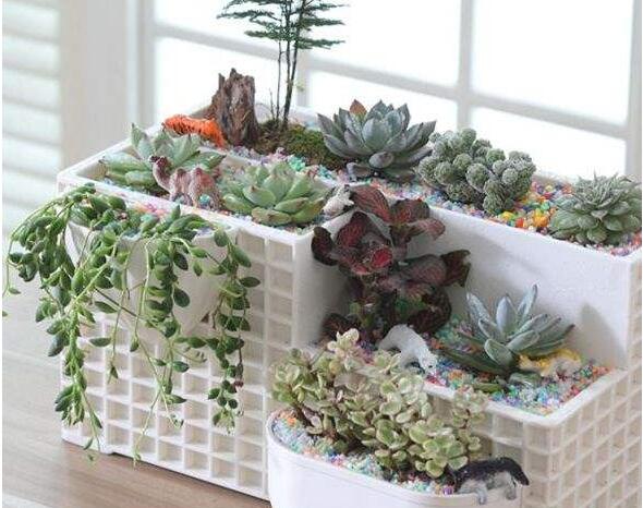 办公室植物租赁.jpg 办公室植物租赁.jpg