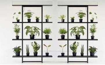 植物租赁摆放.jpg 植物租赁摆放.jpg